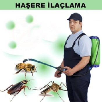 Karabağlar Böcek İlaçlama